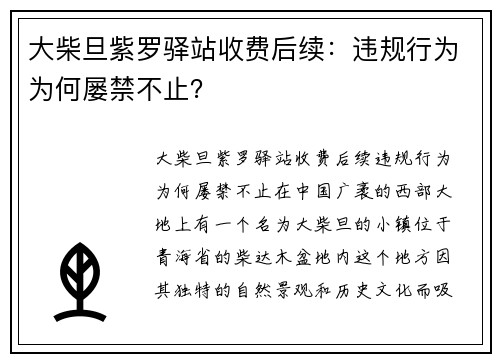 大柴旦紫罗驿站收费后续：违规行为为何屡禁不止？