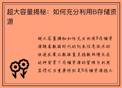 超大容量揭秘：如何充分利用B存储资源